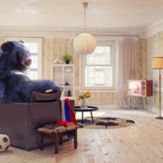 A black bear in the living room | On Target Home Inspection | Home Owners Claims Orland Park