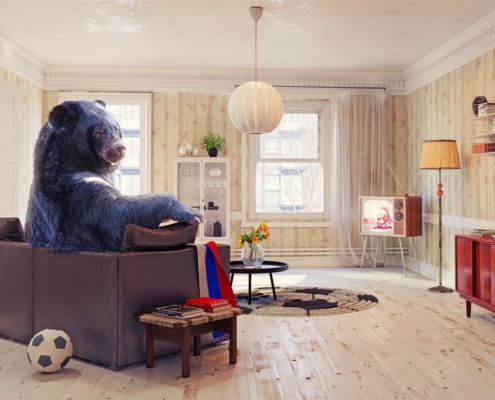 A black bear in the living room | On Target Home Inspection | Home Owners Claims Orland Park